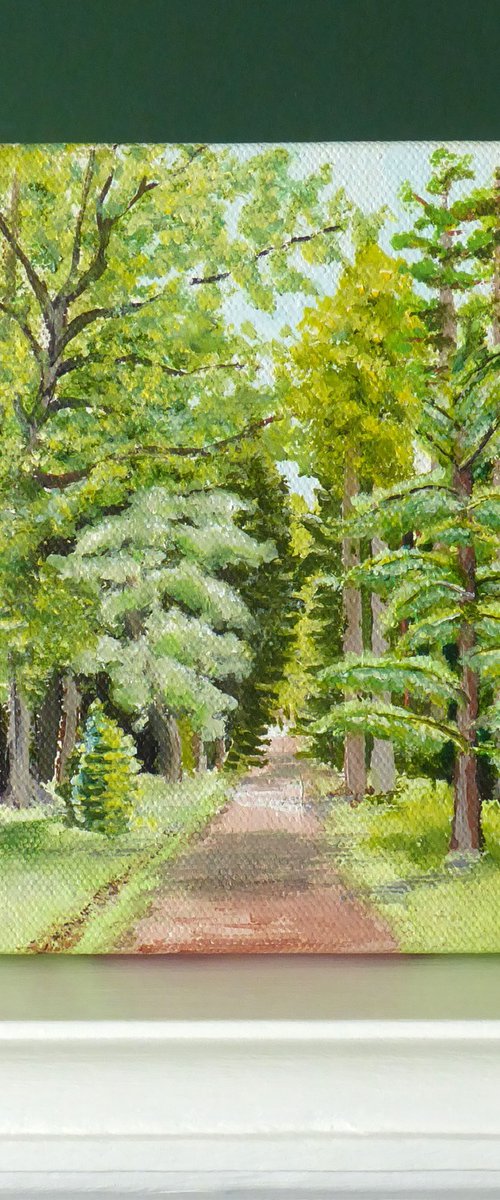 Blackwater, The New Forest by Jacqueline Talbot
