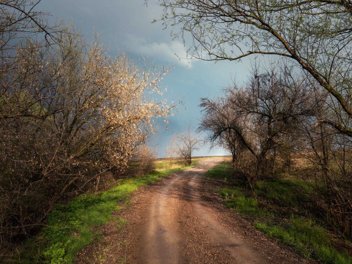 April road by Vlad Durniev