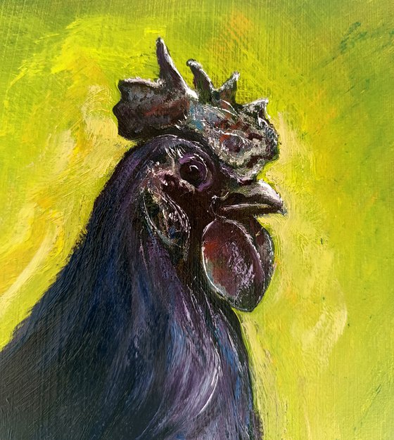 Black Cockerel