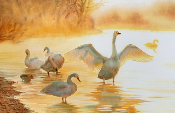 Swans in the lake bathed by the rays of sun - White Swan painting - Swans Lake - Swan watercolor  Mother's Day gift