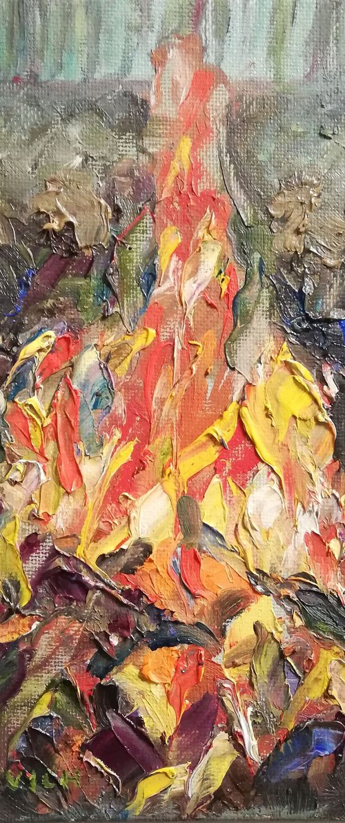 Burning Fire by Katia Ricci