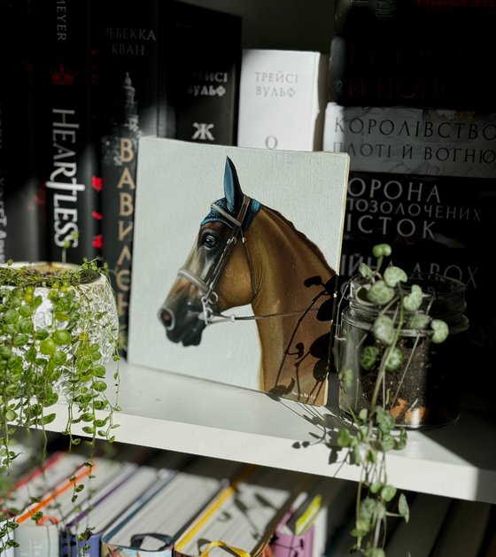 Horse Portrait 14