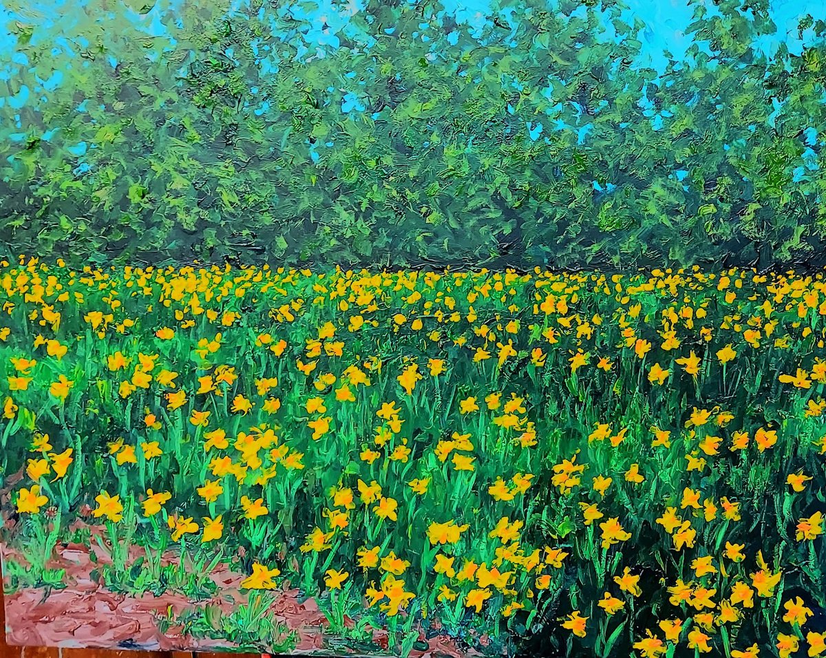 Acrylic Painting , Field Of Daffodils By Colin Ross Jack, 30 X 24, Artwork For Sale On Artfinder