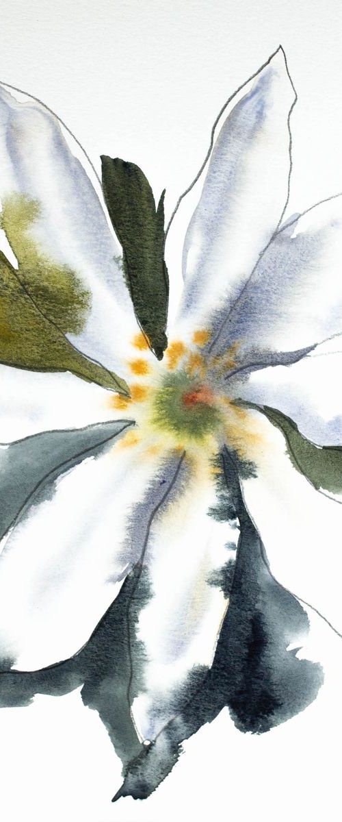 Bloodroot No. 1 by Elizabeth Becker