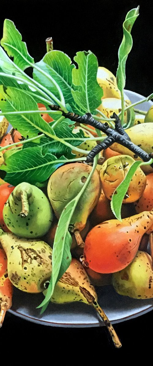 Pears From the Countryside by Alexander Titorenkov