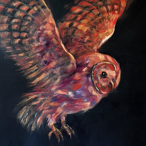 Knight of Night_owl
