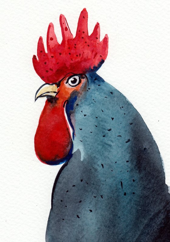 Bird CCLIV - Rooster