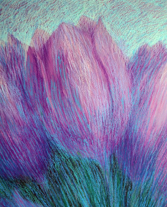 Violet Tulips