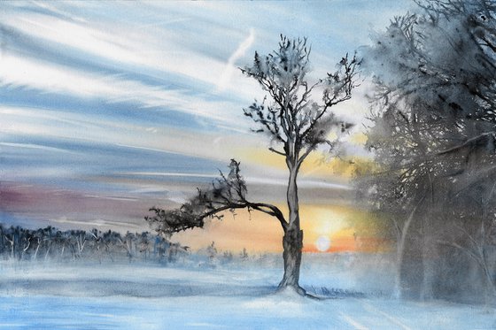 Winter landscape