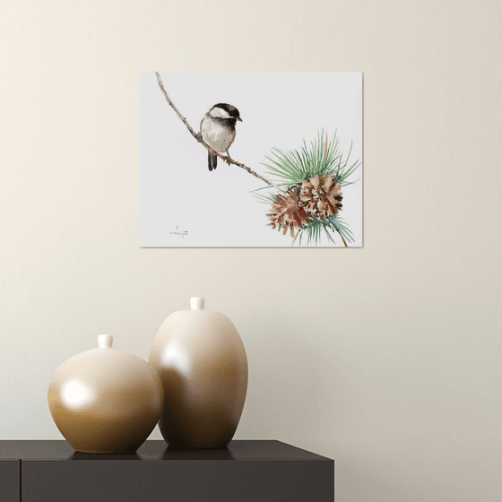 Chickadee Bird