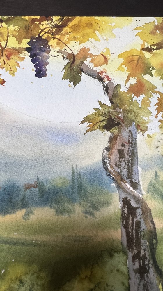 Where Wine Begins