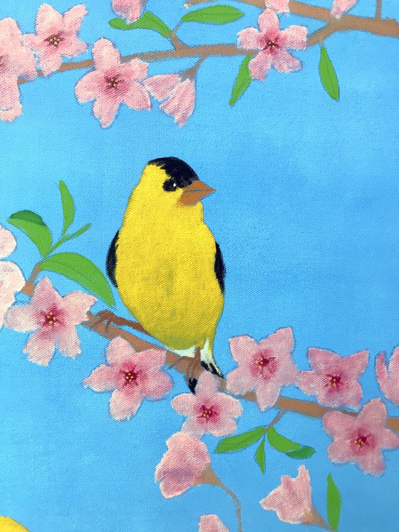 AMERICAN GOLDFINCH