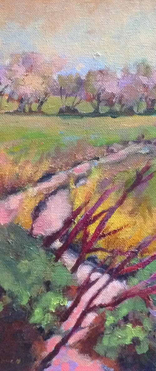 Fall Fields (20% will be donated to JDRF) by Sri Rao