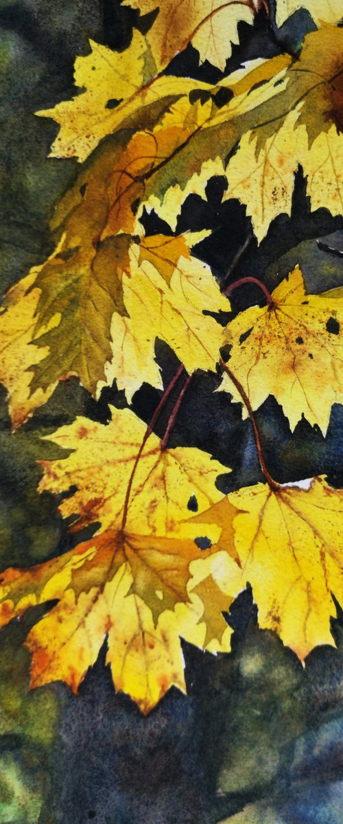 Golden Leaves by Olga Beliaeva Watercolour