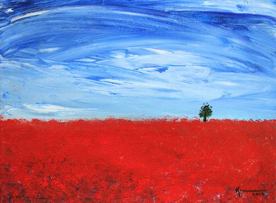 Red Poppy Field