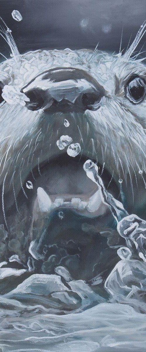 'Splash' by Nicola Colbran