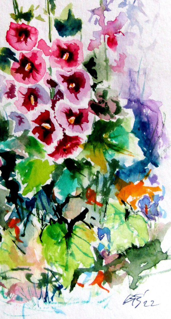 Mallow floral