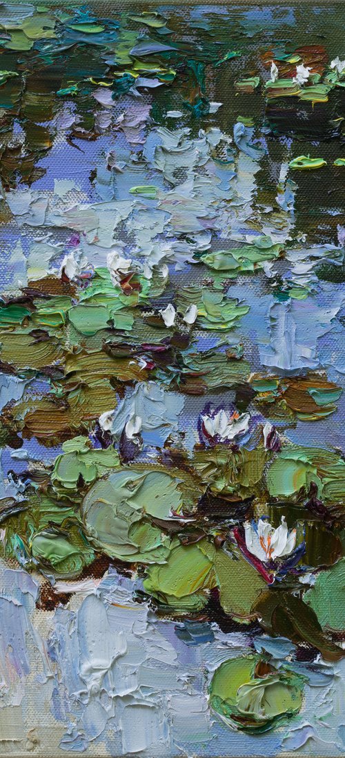 White Water Lilies - Original Oil painting by Anastasiia Valiulina