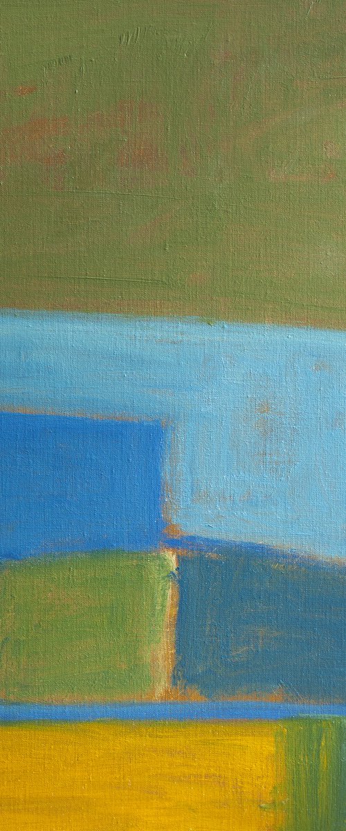 Fields Overlooking Sea At Bigbury by Thomas Hjelm