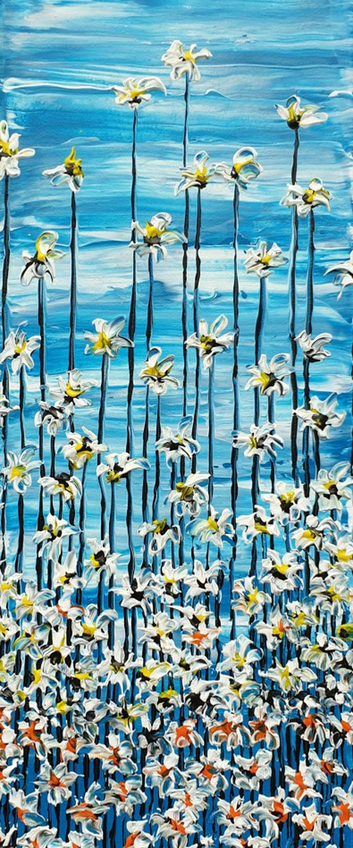 Daisy song by Daniel Urbaník