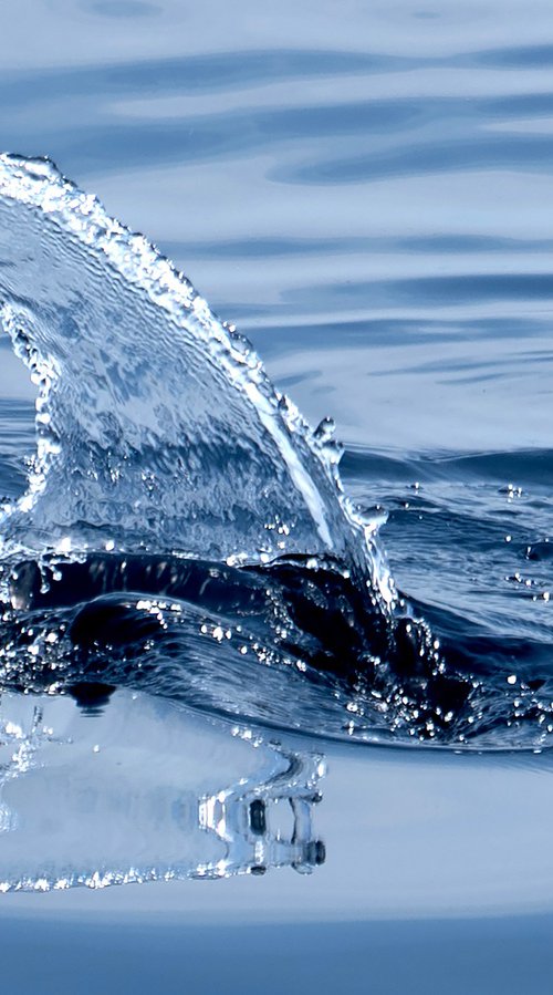 WAKE by Fabio Accorrà