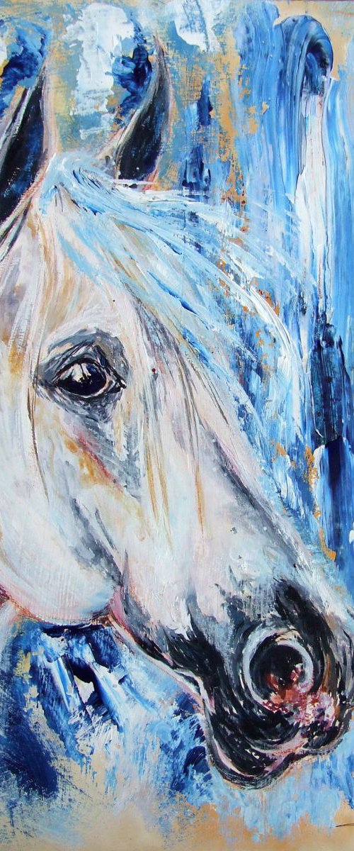 Arabian Horse by Anna Sidi-Yacoub