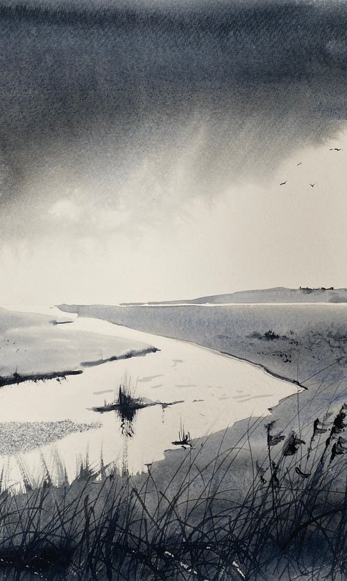 Monochrome rainclouds marshes by Teresa Tanner