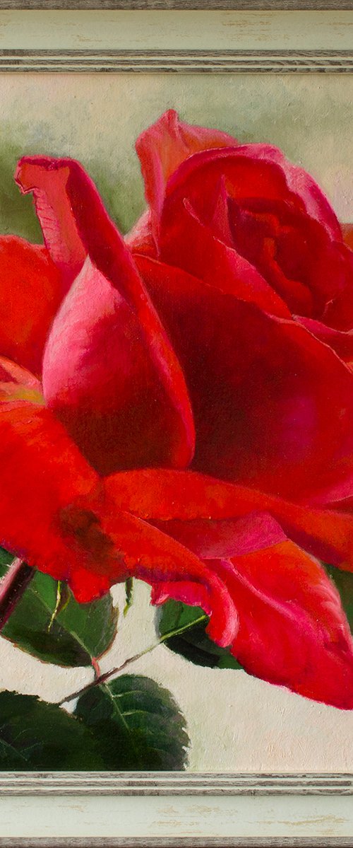 "Scarlett" red  rose flower  liGHt original painting  GIFT (2017) by Anna Bessonova (Kotelnik)