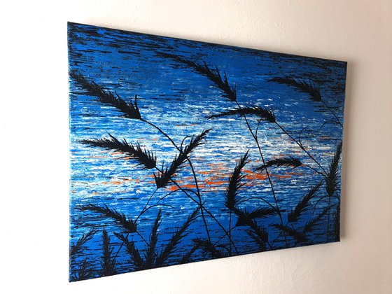 Blue Sunset In The Grass