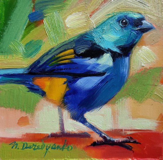 Tanager Blue bird painting original framed 4x4, Animal wall art wildlife, Bird artwork gifts