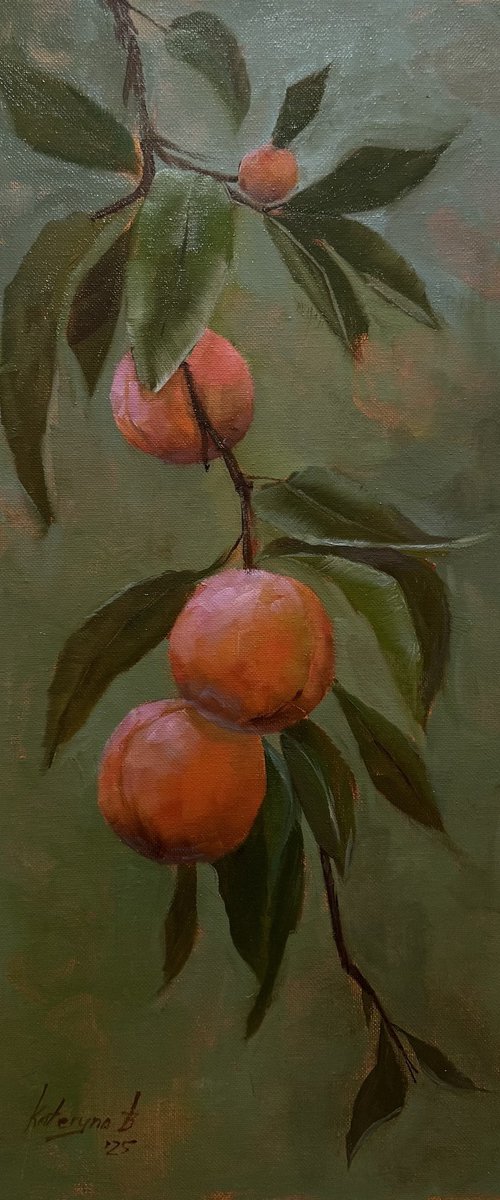 Fuzzy peaches by Kateryna Boykov