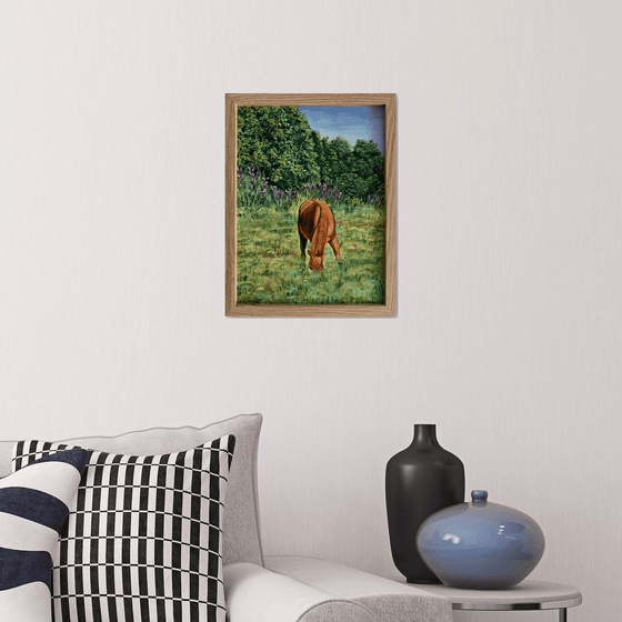 Horse in the field.
