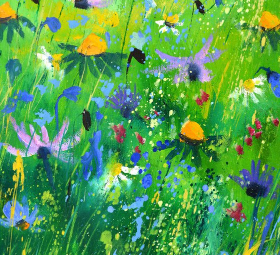 Summer wild flowers