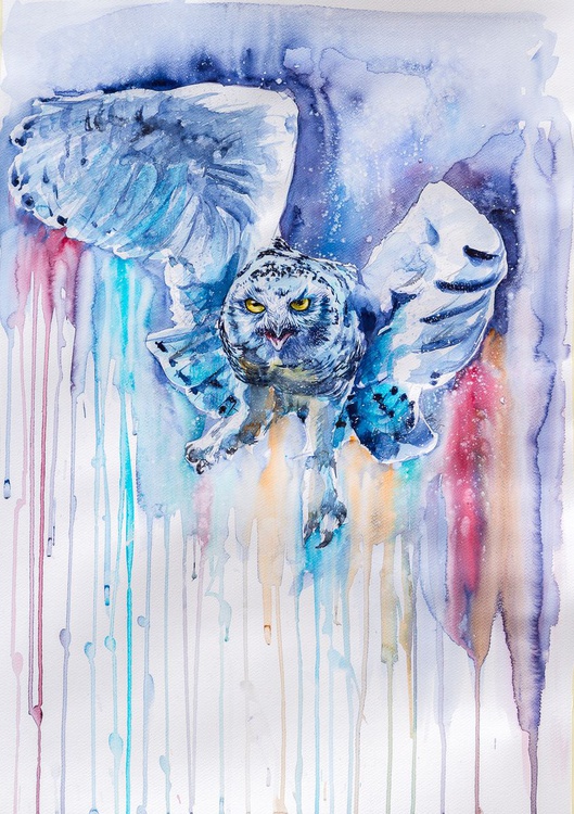 Snowy Owl Flying By Kovacs Anna Brigitta Artfinder