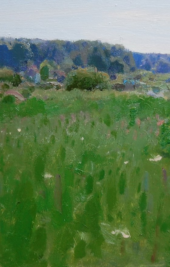 In the meadow