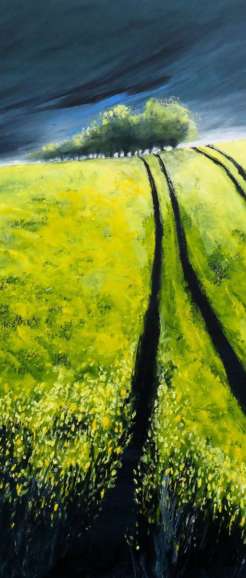 Canola  Fields and the storm - Fields and Colors Series by Danijela Dan