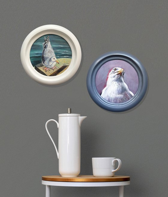 Portrait of a seagull.