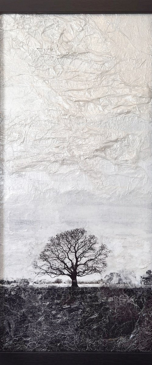 Sentinel by Roseanne Jones