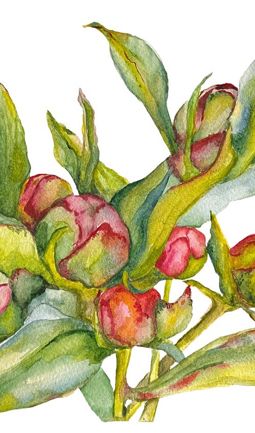 Botanical No.1 by Anna Lyashenko