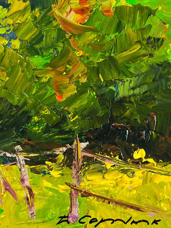 A Road along a Summer Forest