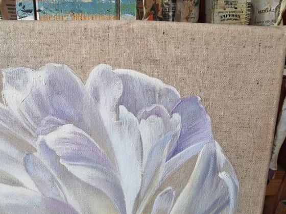 White tulip