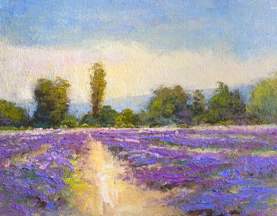 Landscape Lavender Field, 8x10 inches