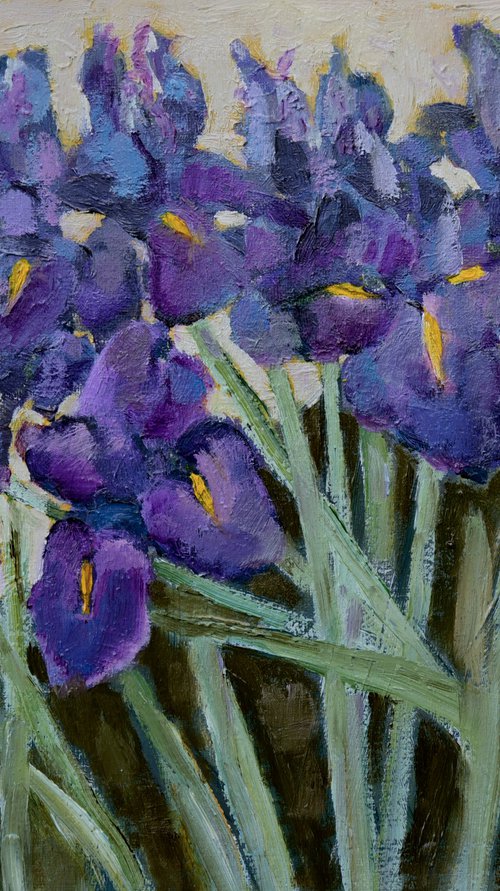 Irises by Elena Zapassky