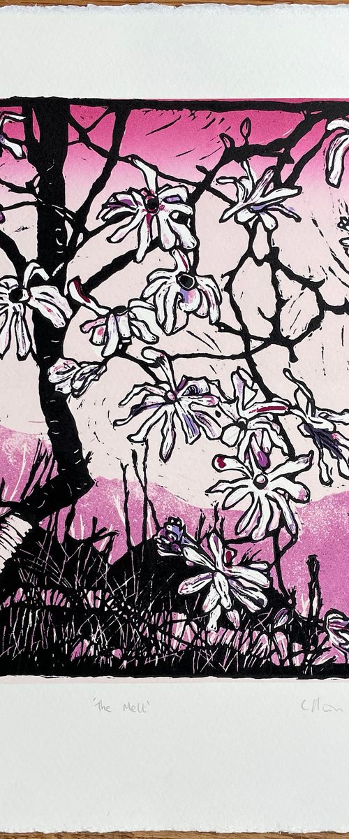 Magnolia Blossom Linocut by C Staunton
