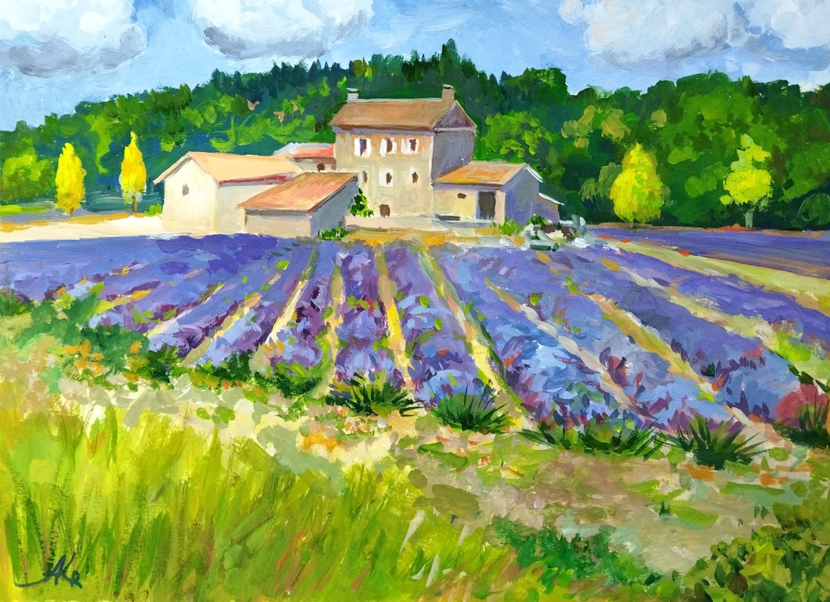 Scent of lavender farm by Ann Krasikova