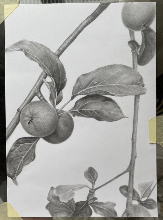 The Taste of Childhood