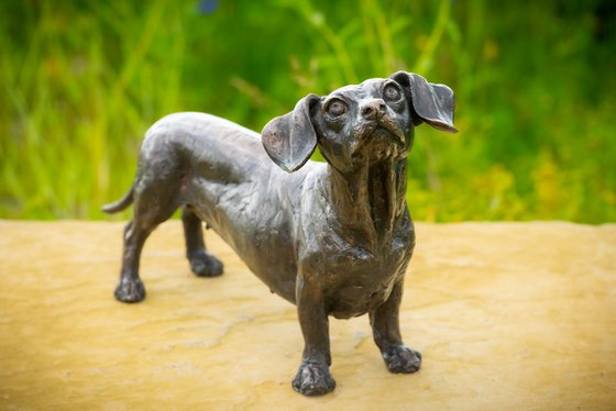 Standing Dachshund FB