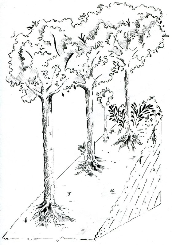 Cross-section land and trees