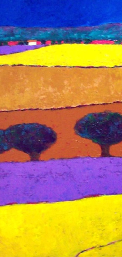 Lavender fields by David J Edwards