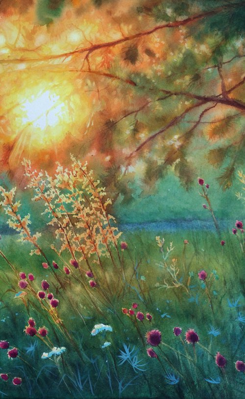 Sun rays through pine tree branches at sunset by Olga Beliaeva Watercolour